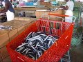Fish Market, Bridgetown, Barbados Fish Market, Bridgetown, Barbados
