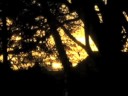 videos de Unconstrained