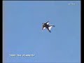 skydiver tracks hard