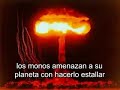 La historia de unos monos