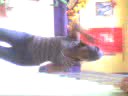 clases de baile con mary