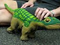 Pleo meets Hello the Cat