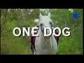 Australian series \"Snobs\"