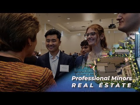 Professional Minors: Real Estate