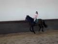 Pseudo Amazona no 2º Galope :P