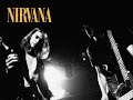 nirvana   heart shaped box  steve albini mix 
