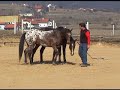 Unity & Passion - Feb 2008 - Part 1 - M. Grohmann