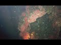 Diving Oil Rigs Diving Oil Rigs