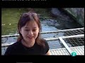 Conocer Singapur 1ª parte 5/2