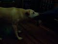 Mike && Rusty