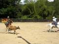 videos de Practica RANCHO 4R, 30-11-08, Dino y Ernesto I