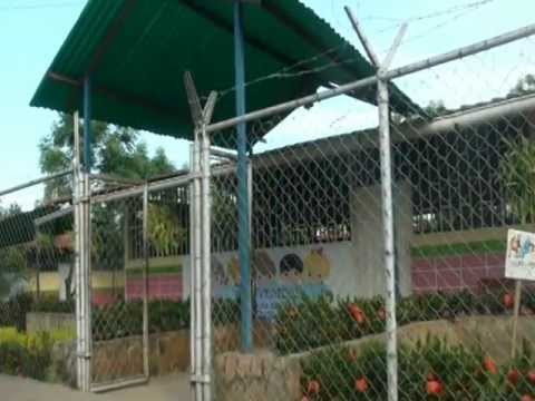 Toma de Socopó - Barinas