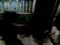 videos de Ricardo Wagner vs. Fernando Oshiro