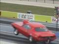The Beeracuda at Texas Motorplex