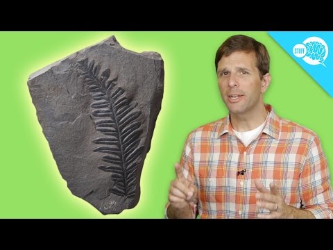 Carbon dating calculation-in-Riversdale
