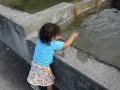 Je vie pour elle Je vie pour elle