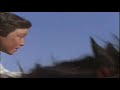 Tribute to the Black Stallion - Thumb #2
