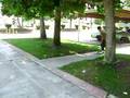 kid doing a pop shuv over curb