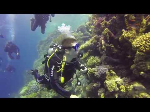 Marsa Shagra Diving, Egypt, 2015