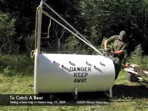 Bear Trap Setup