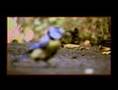 Oldrich Janota - music & poetry documentary