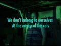 Stepdad Jungles Official Music Video and Lyrics