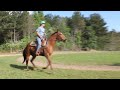 Click here to watch this video Ranger Video 1