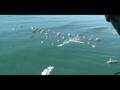 Coast Guard patrols Maverick Surf Competition