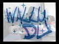 dj wally feat  os caã‡adores   joga joga