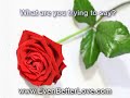 Different Meanings for the Color of Roses