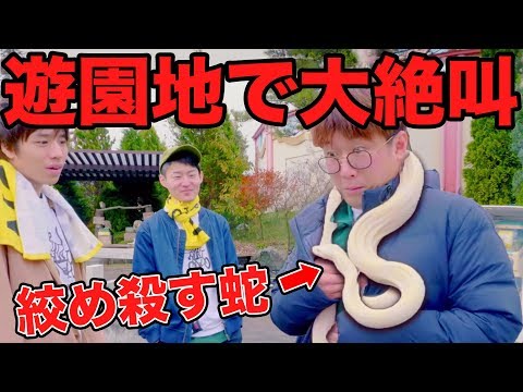 動画