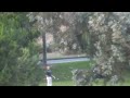 Adventures on the golf course 2