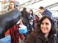 videos de Zoo sea lion