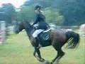 Wendy en Milan Z springen, L1 dressuur