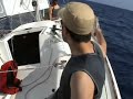 Stilsailing, salidas de 3h en barcos de regata