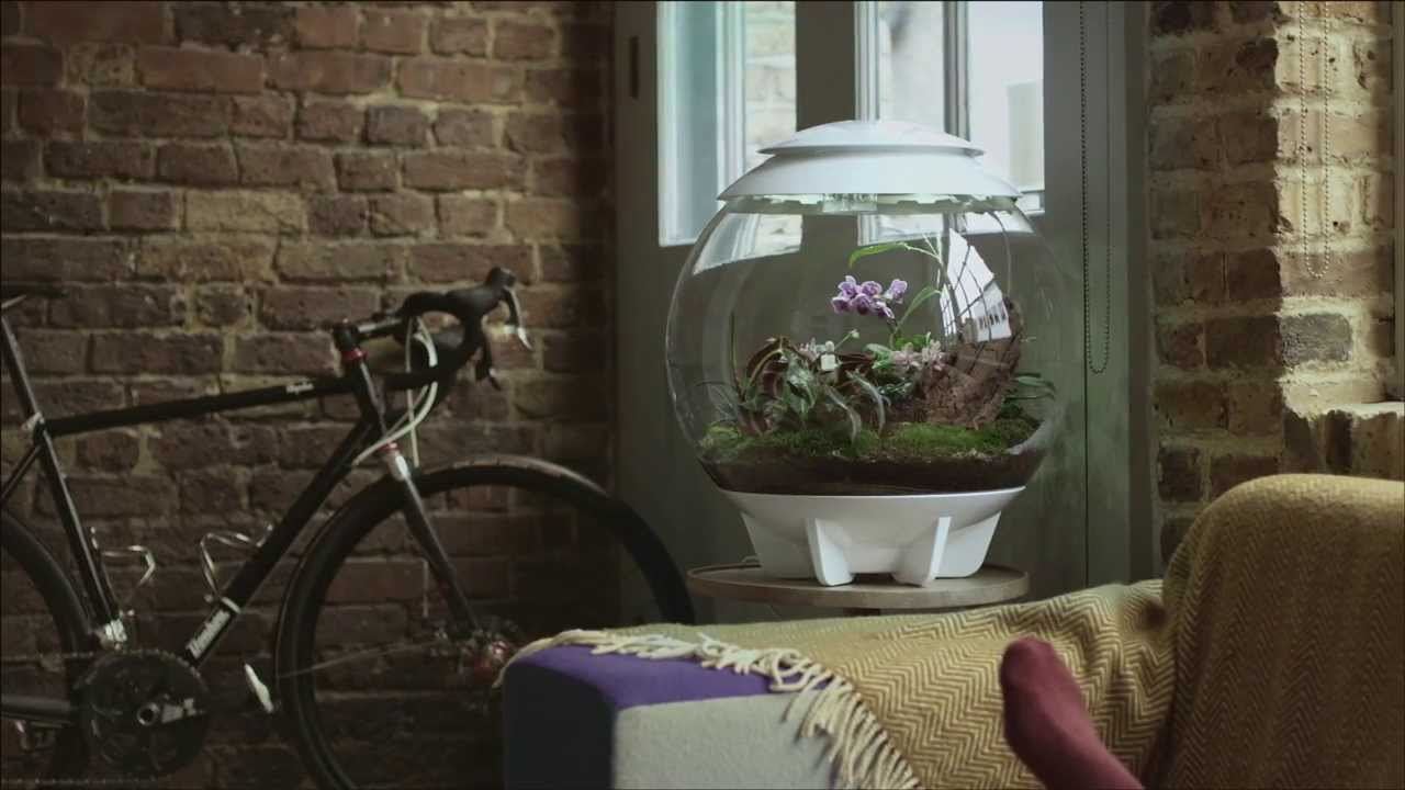 biOrb AIR Terrarium // Grey video thumbnail