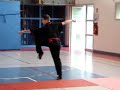 Shaolin Ying Quan
