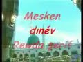 KANI MUHAMMED MUSTAFA  (SAV) SEYFULLAH