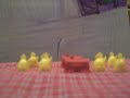The Giant Ducks Revenge The Giant Ducks Revenge