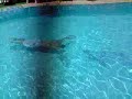 Alan 4 lenghts underwater