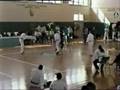 OKINAWA SEIDOKAN KARATE FIGHT