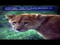 WWE Raw 1995 3 6 Shawn Michaels Vs
