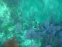 Cave Spearfishing - Part 2 - Extraction of the fish