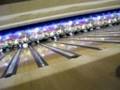 Betzie & Tia - Bald Bowlling BALLS - PART II