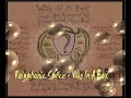 Polyphonic Spree -  Wig in a Box