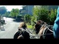Woldberg's Violist & Brennabor Tywyllwch - erste gemeinsame Zweispännerfahrt