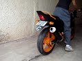 borrachão