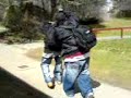shanon vs gil