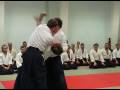 Svensk Aikido 040119 UrbanAldenklint