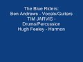 the blue riders:
ben andrews guitars
tim jarvis drums and percussion
hugh feeley harmonicas
the 71 other session clips are at...
http://www.youtube.com/results?search_query=tymjar&search=search

he is playing a chromatic mouth organ.

check out hubert sumlin 's guitar on howlin' wolf's original chess recording of spoonful. 

you may like this clip if you're a listener to charley/charlie patton, hubert sumlin, charley patton or the cream, or any of the great chess sessions that willie dixon produced. early fleetwood mac and long john baldry had roots in drinking up chicago blues down homers , thanks in some part to peter green, john littlejohn hounddog taylor earl hooker jb hutto robert nighthawk l. c. robinson freddie roulette nigel watson, mayall john & bluesbreakers and the long line of fine british blues players ...check out early: the animals, the yardbirds/jeff beck, eric clapton and jimmy page, charley jordan, savoy brown, van morrison, mick abrams and blodwyn pig, dave kelly, albert lee/tony colton, albert lee/tony colton, cyril davies, sonny landreth, john mooney, rob ickes, kelly joe phelps, harry manx, kevin brown, ben harper, stacy phillips, mike auldridge, small faces, mick taylor, gary moore, jo ann kelly and bennett duster...this all to mention just a few!

the blue riders championed the east coast piedmont style of blues, a style of music first popularized by artists like blind boy fuller, rev. gary davis, blind willie mctell and blind blake.
-tymjar